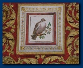 duif (detail van een wandschildering) Vaticaans museum�